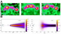 Discs al voltant de púlsars ultraràpids amb període de mil.lisegon:  Observacions i simulacions numèriques