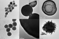 Juan Carlos Flores defensa la seva tesi sobre la síntesi de noves nano-partícules funcionalitzades