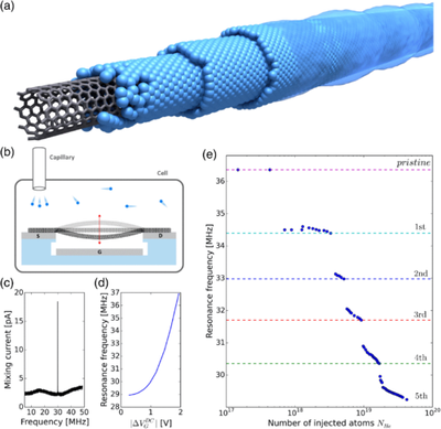 La mecànica quàntica explica com pel·lícules superfluides d’heli creixen en nanotubs de carboni