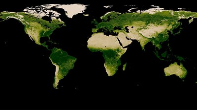 Created a method to prevent and detect forest desertification