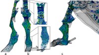 Hadrien Calmet defends his thesis on fluid dynamics during a short and rapid inhalation (also called sniff) in the airways