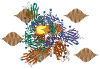 Innovative methods for selectively fragmenting molecules with laser X-rays are proposed