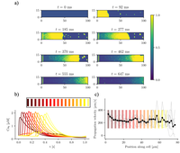 Miquel Marchena Angós defends his thesis based on a mathematical model to simulate cells with atrial fibrillation