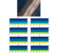 New physical mechanism for the formation of transverse finger bars in beaches with abundant supply of sand