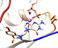 Simulación de proteínas oncogénicas por Dinámica Molecular y diseño de fármacos in silico